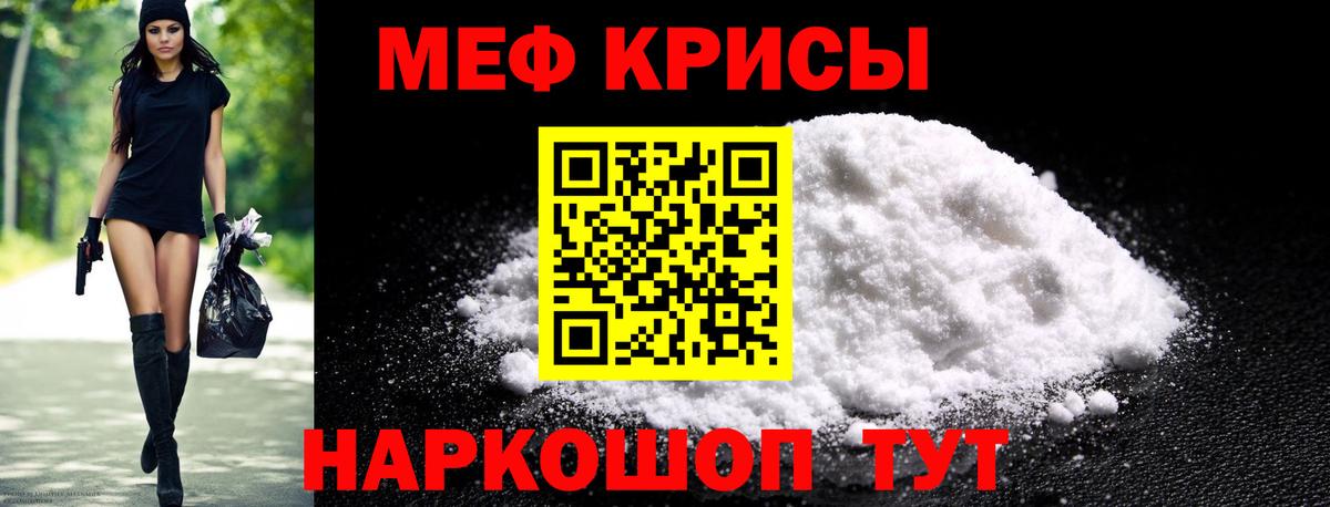 МЕФ  Новозыбков