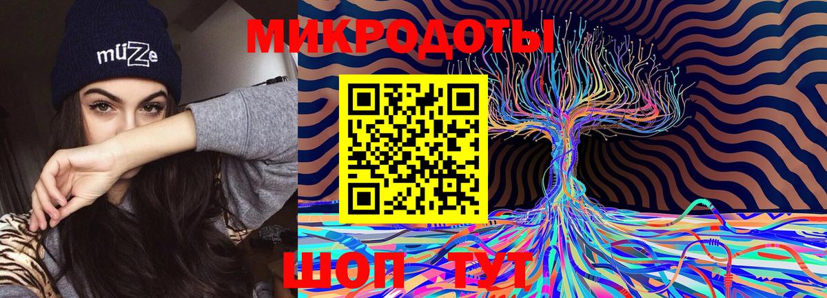 Псилоцибиновые грибы GOLDEN TEACHER Новозыбков