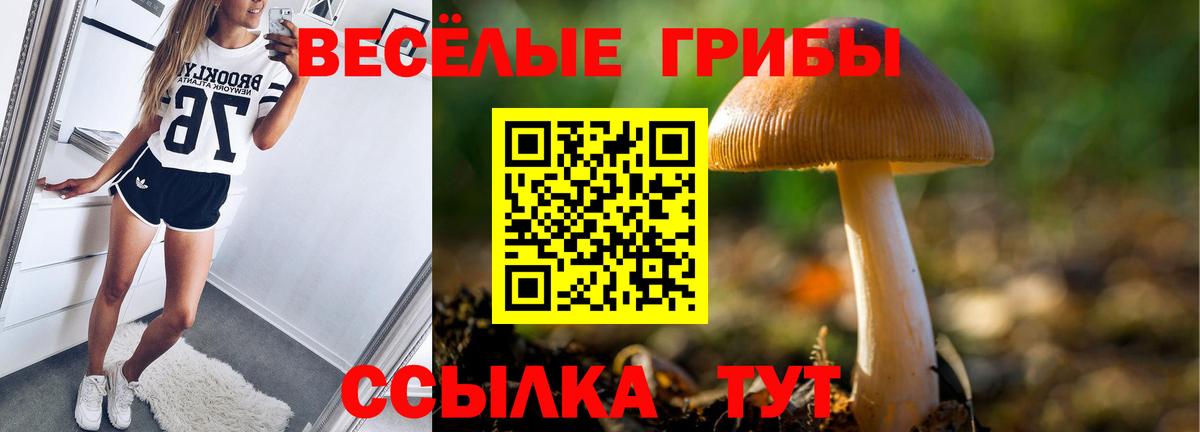 Галлюциногенные грибы MAGIC MUSHROOMS  Вход с VPN  Новозыбков 
