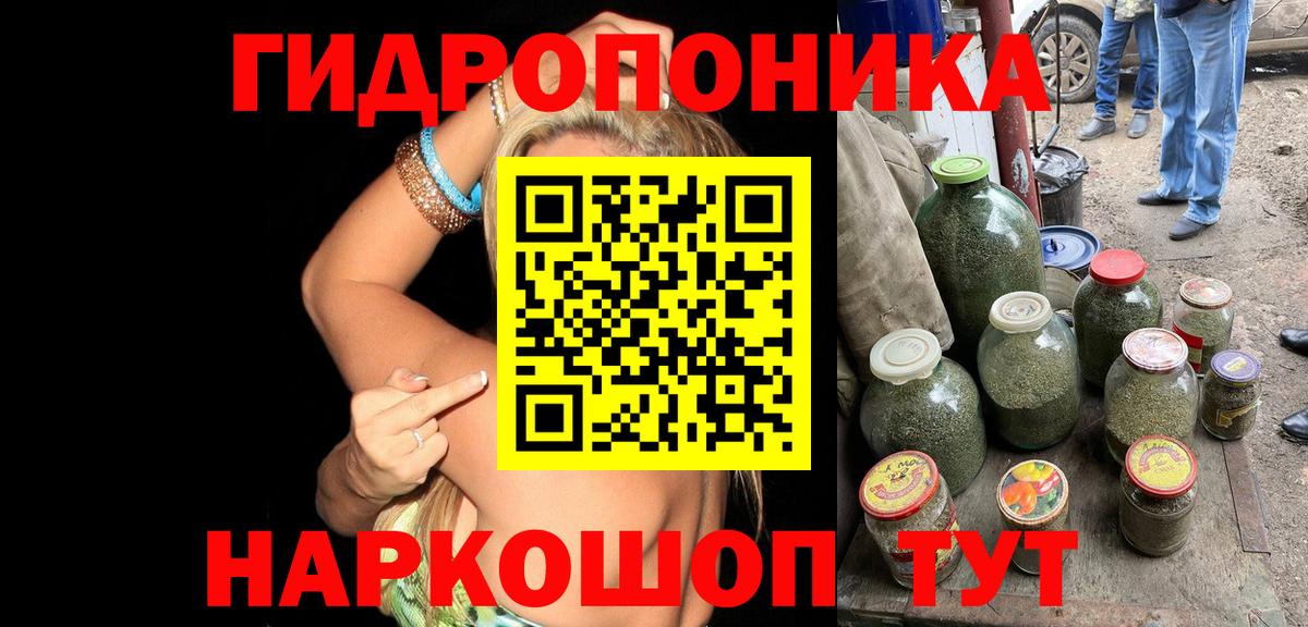 Каннабис LSD WEED  Конопля Bruce Banner  Шишки марихуана марихуана  Вход с VPN  Новозыбков  Бошки марихуана OG Kush 